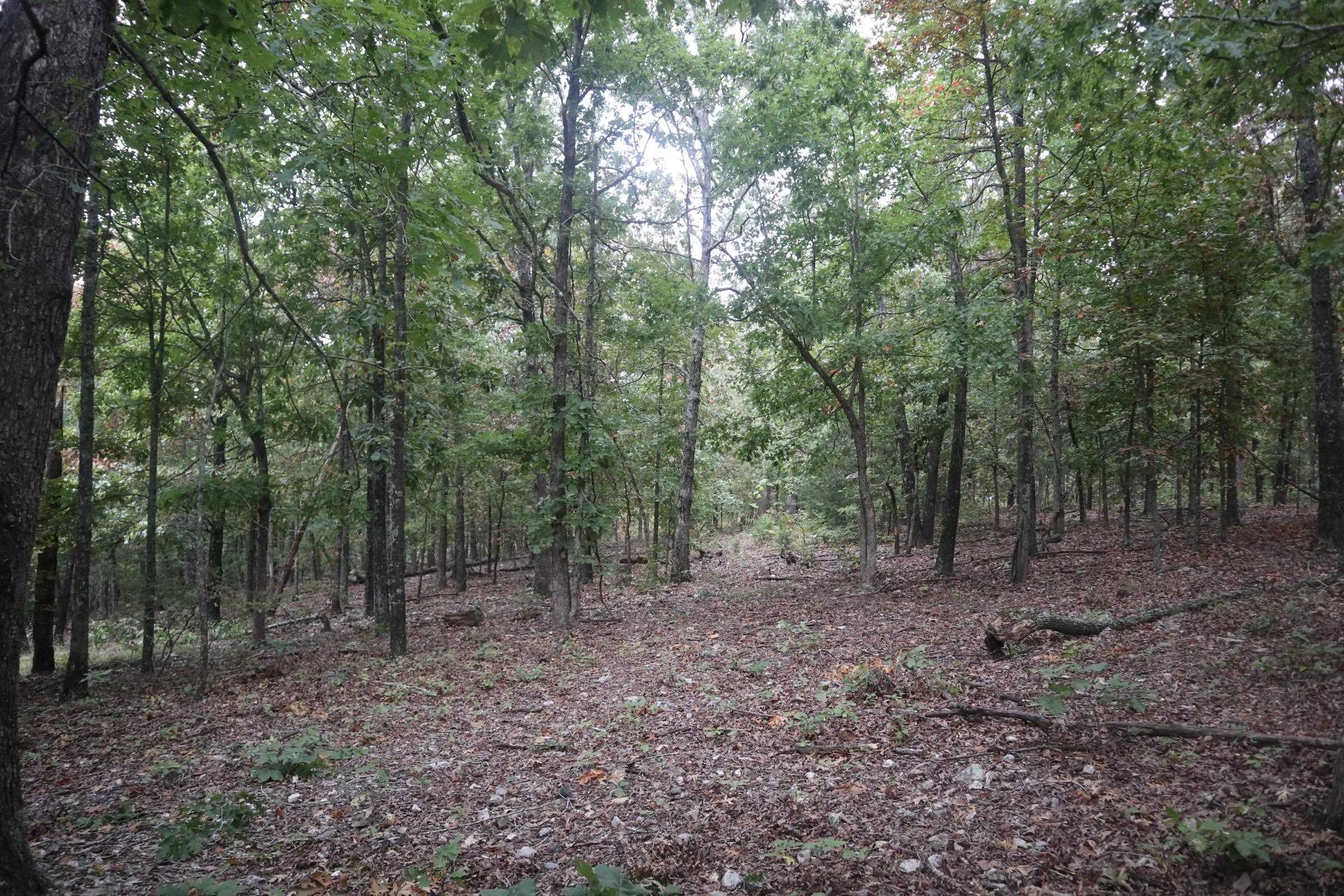 3958 Young Rd  Salem, AR