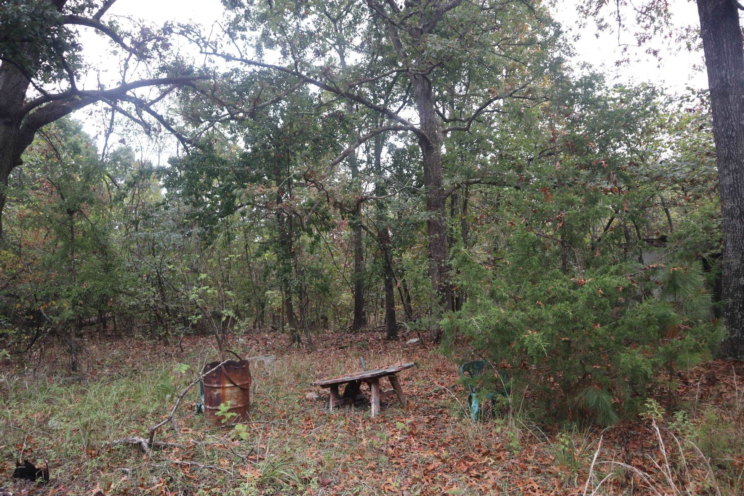 3958 Young Rd  Salem, AR