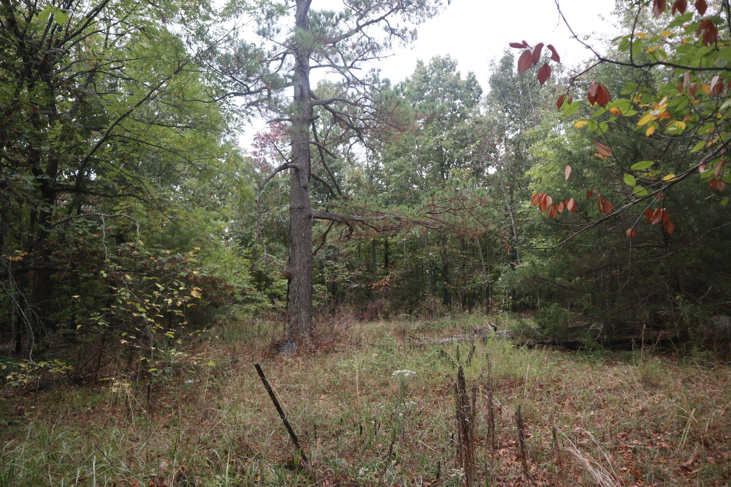 3958 Young Rd  Salem, AR