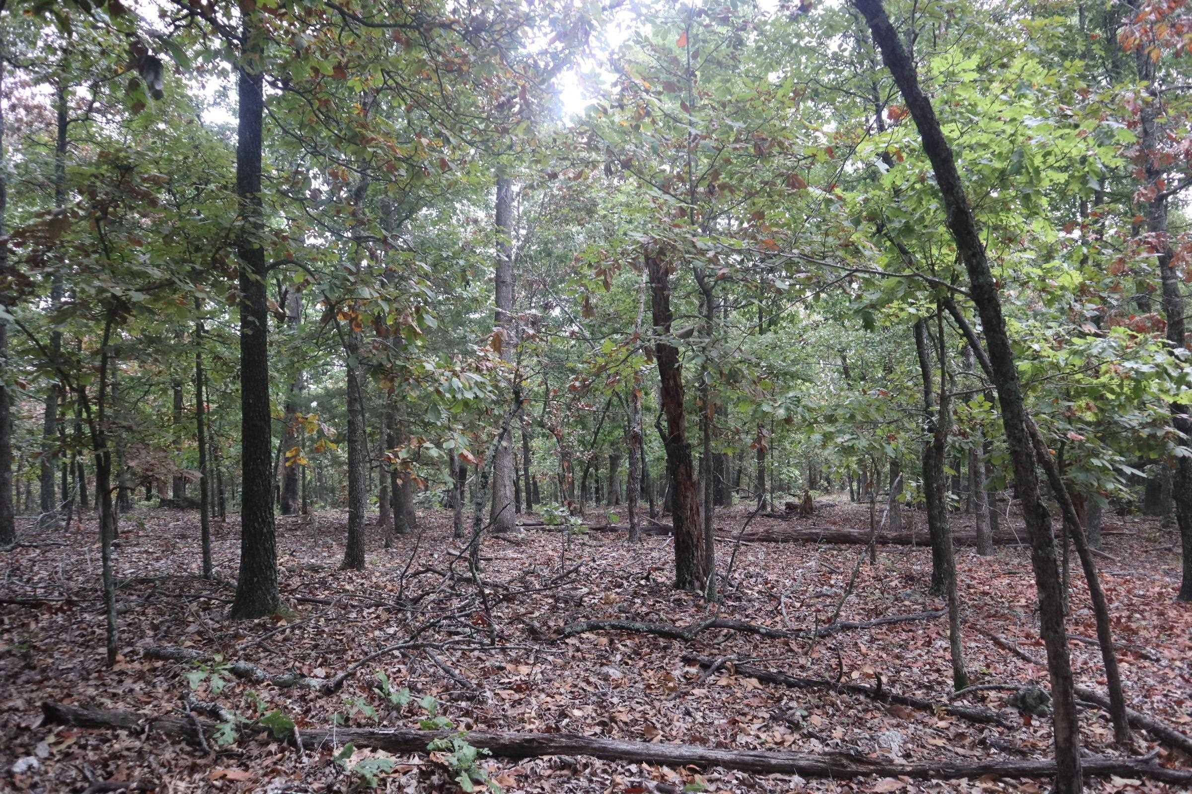 3958 Young Rd  Salem, AR