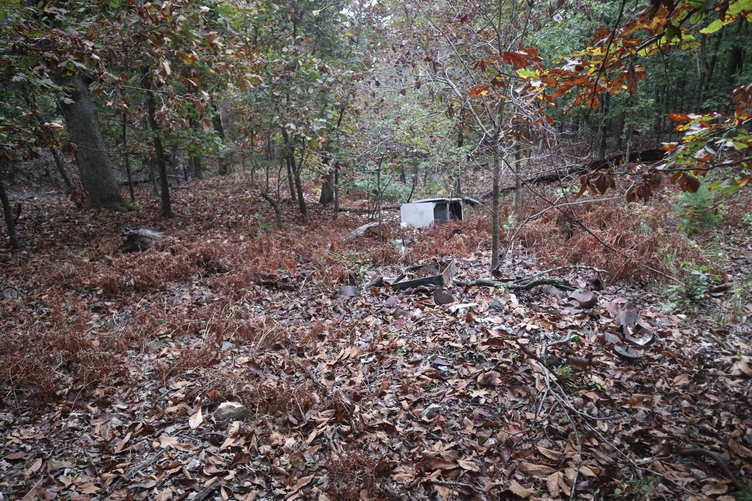 3958 Young Rd  Salem, AR