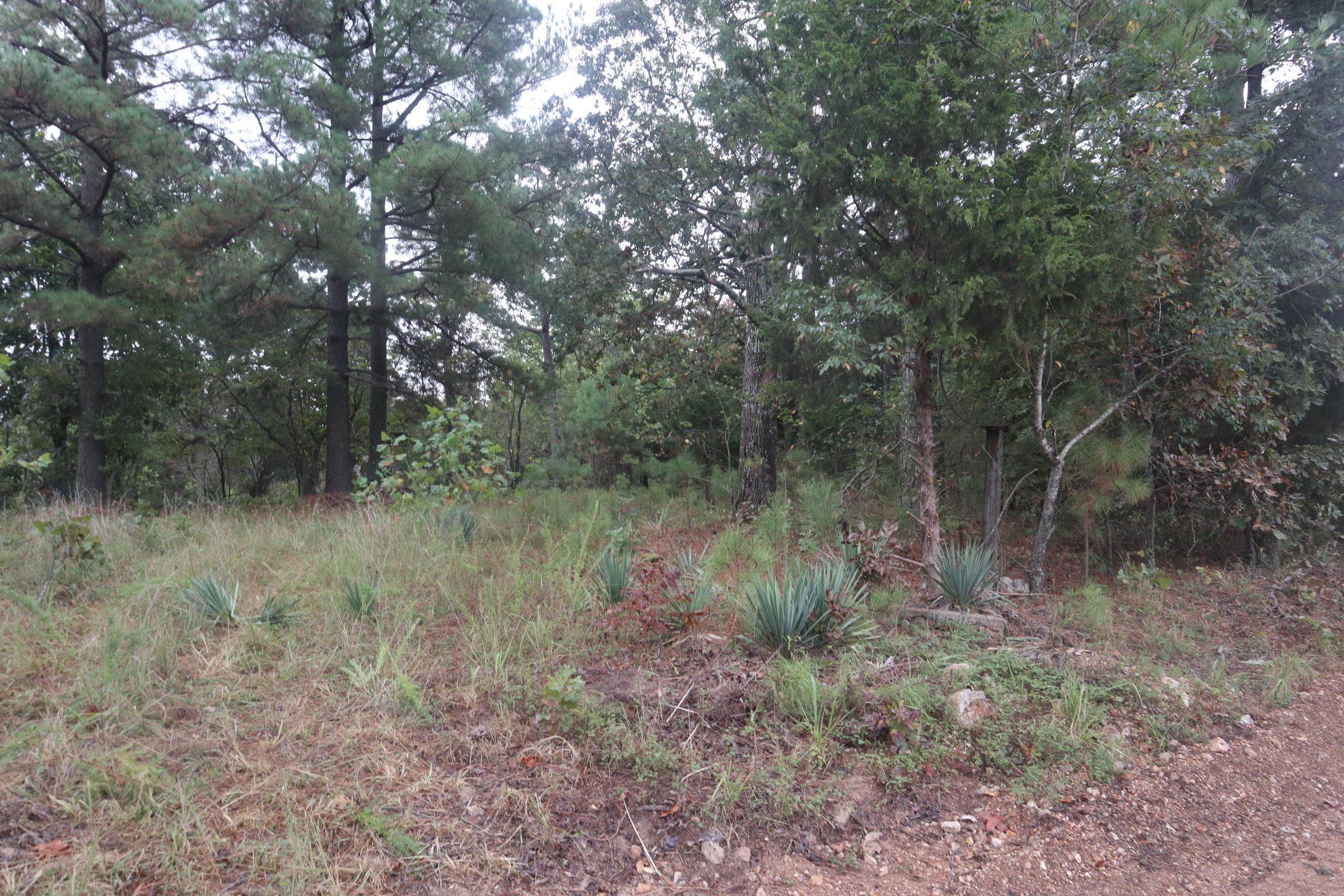 3958 Young Rd  Salem, AR