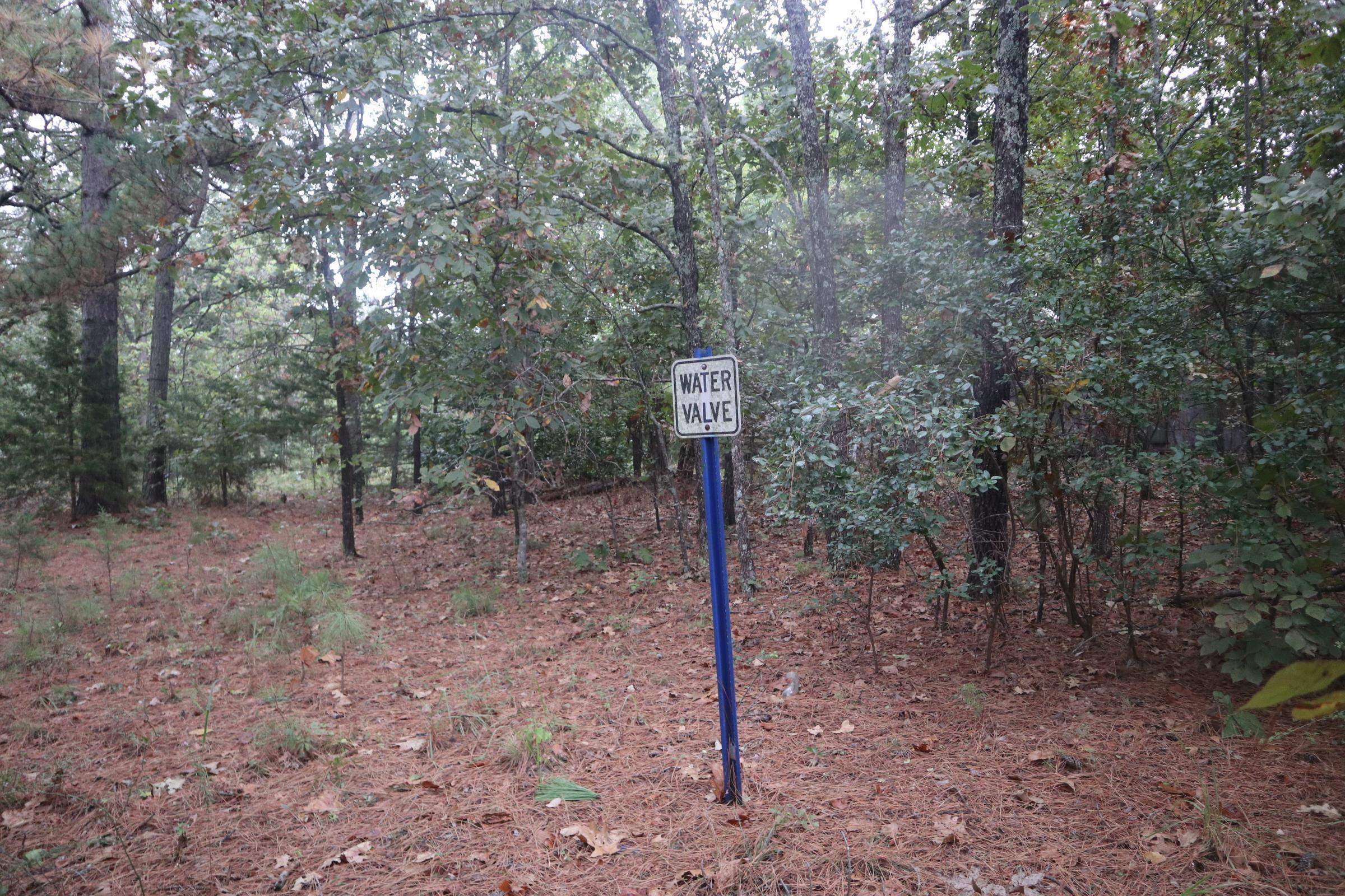 3958 Young Rd  Salem, AR