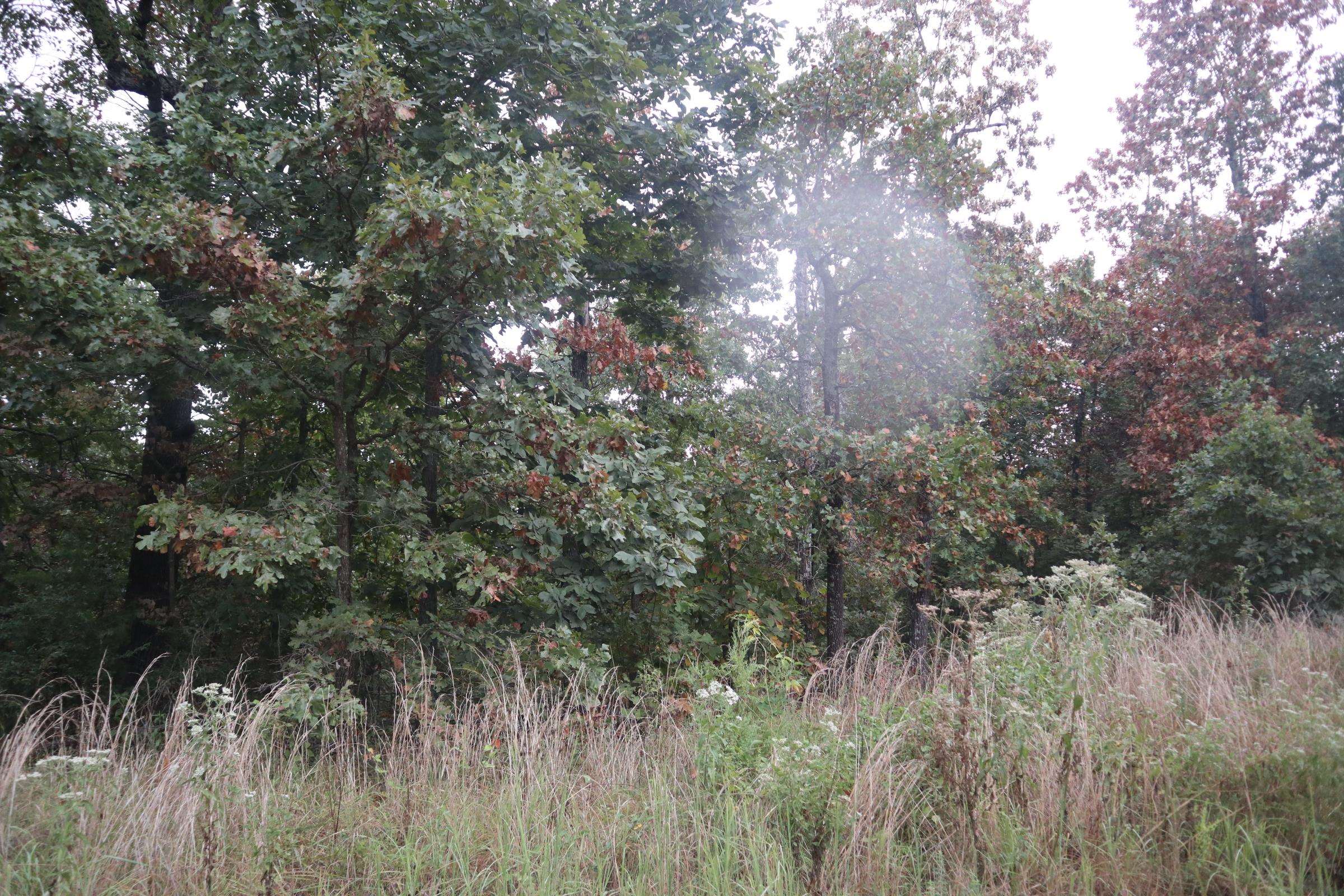 3958 Young Rd  Salem, AR