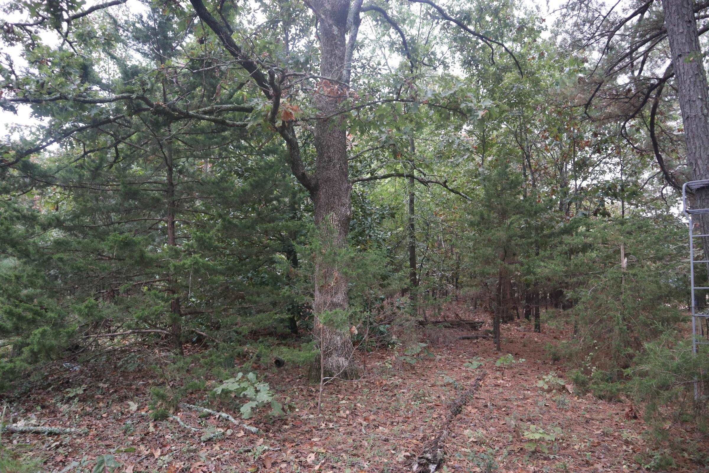 3958 Young Rd  Salem, AR