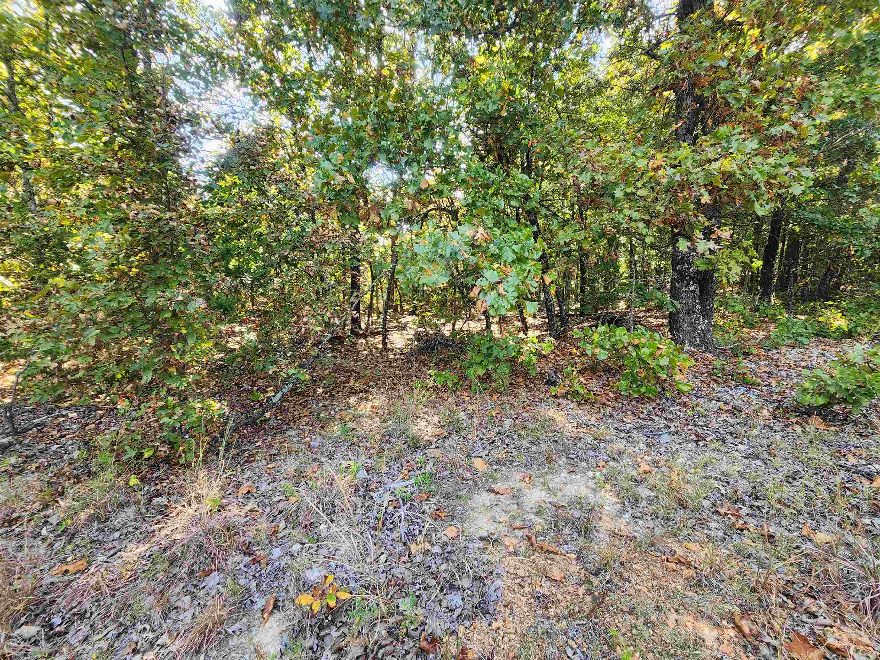 L16B5 Colonino  Cherokee Village, AR