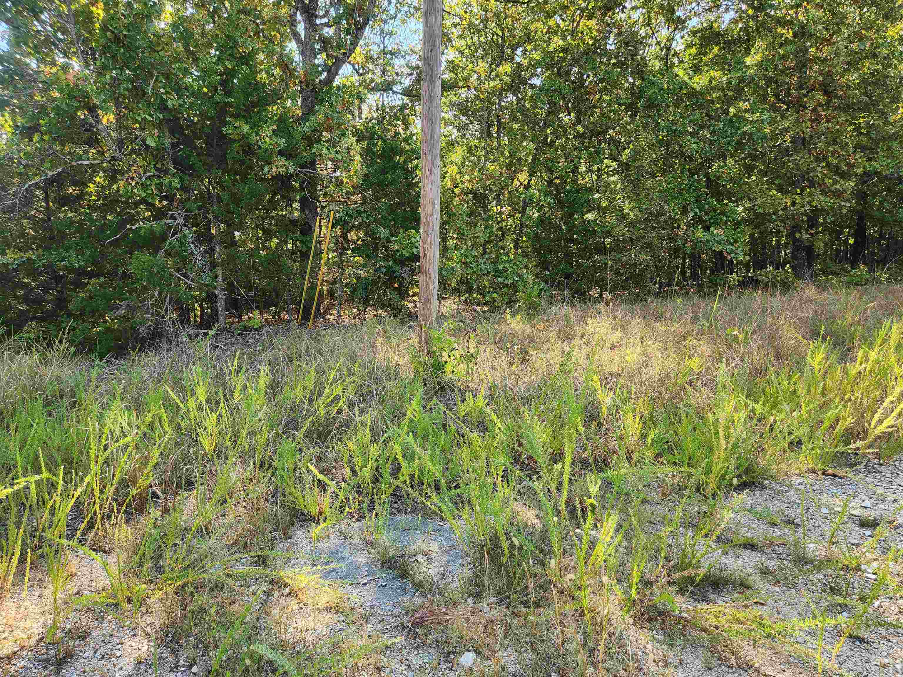 L16B5 Colonino  Cherokee Village, AR