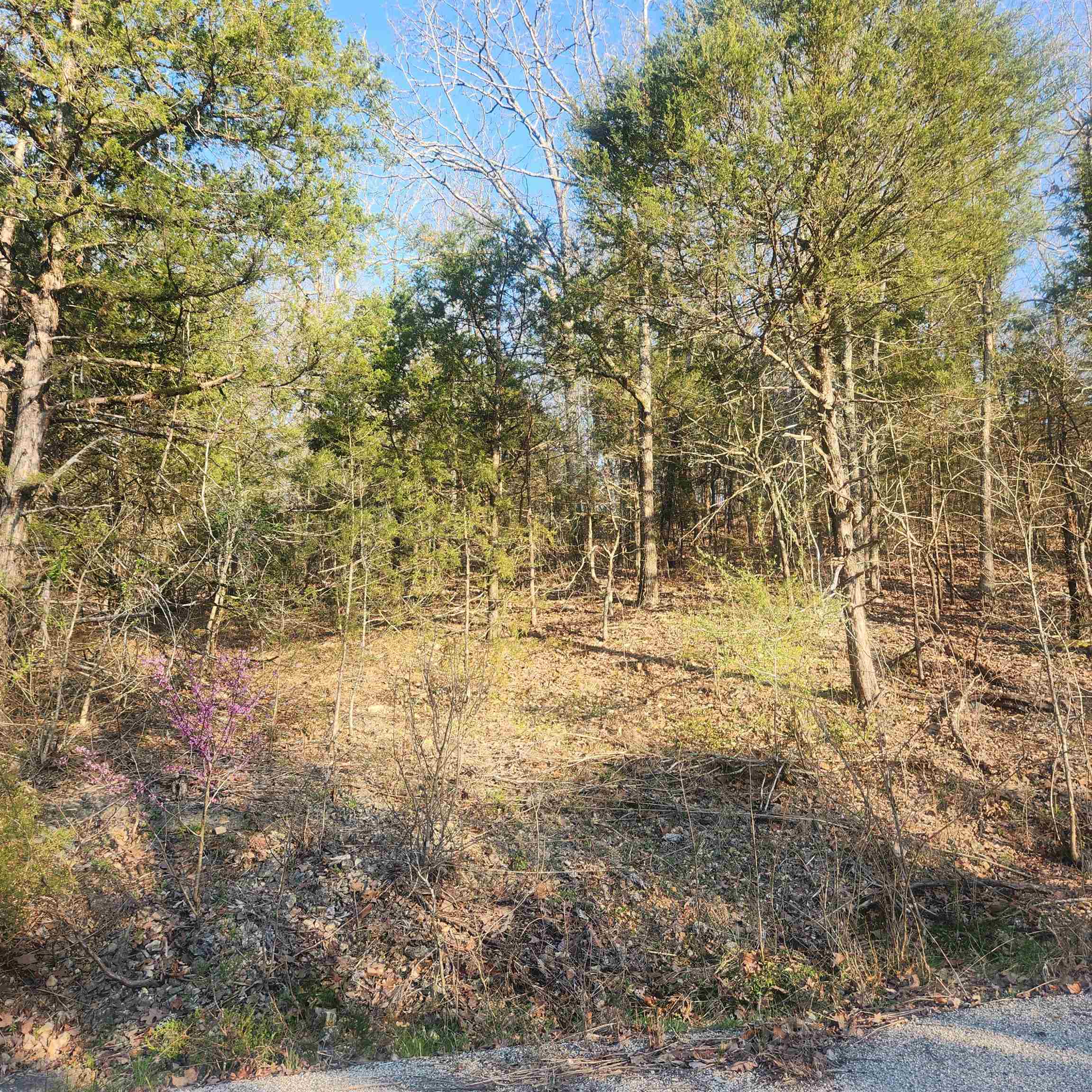 L-12, B-8 Choctaw  Cherokee Village, AR