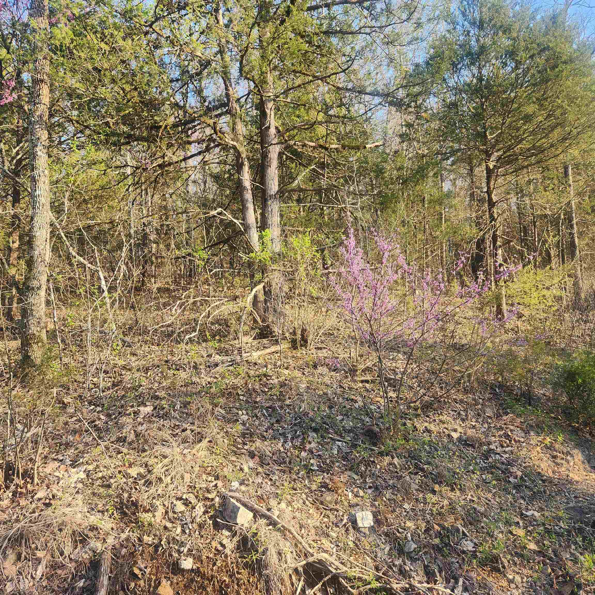 L-12, B-8 Choctaw  Cherokee Village, AR