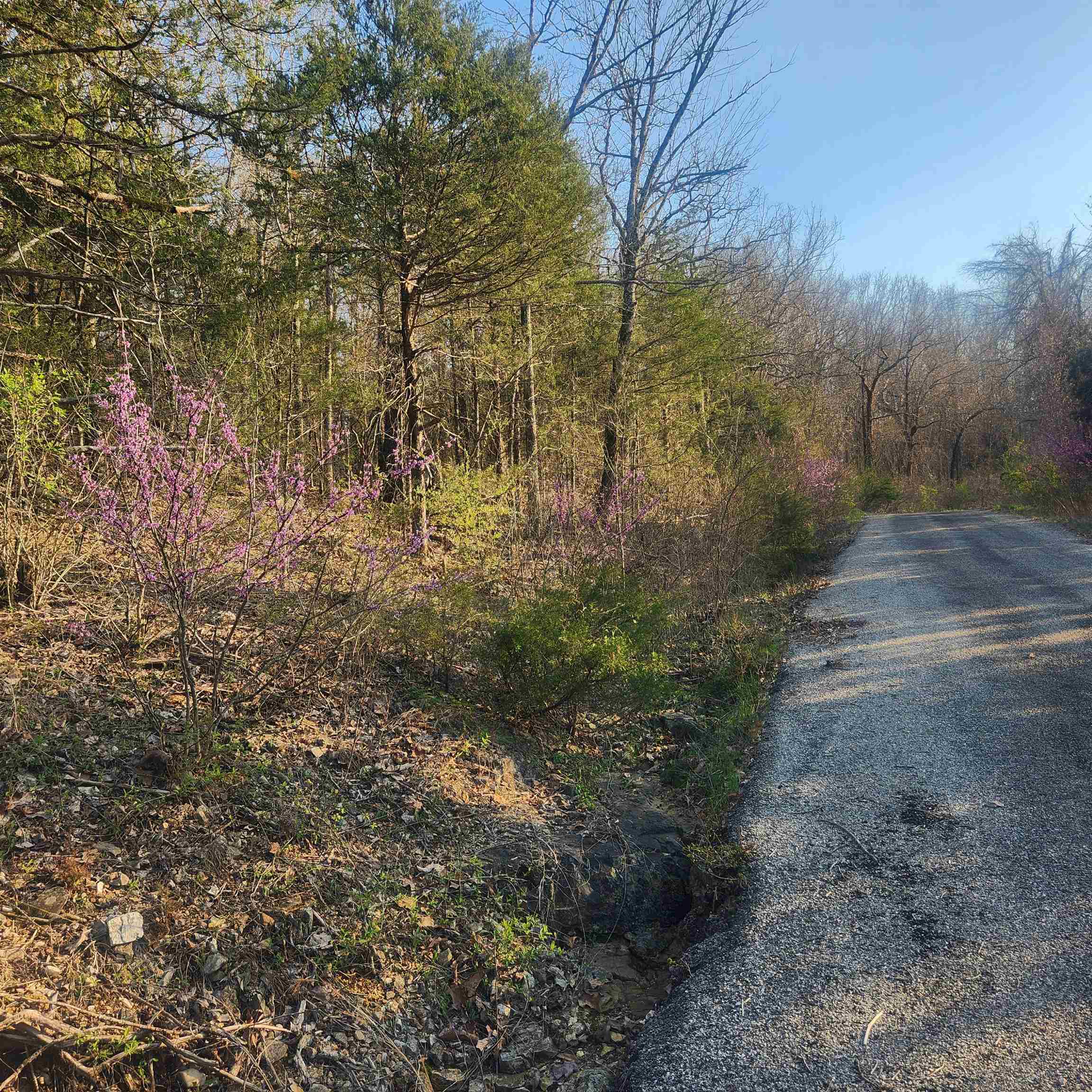 L-12, B-8 Choctaw  Cherokee Village, AR