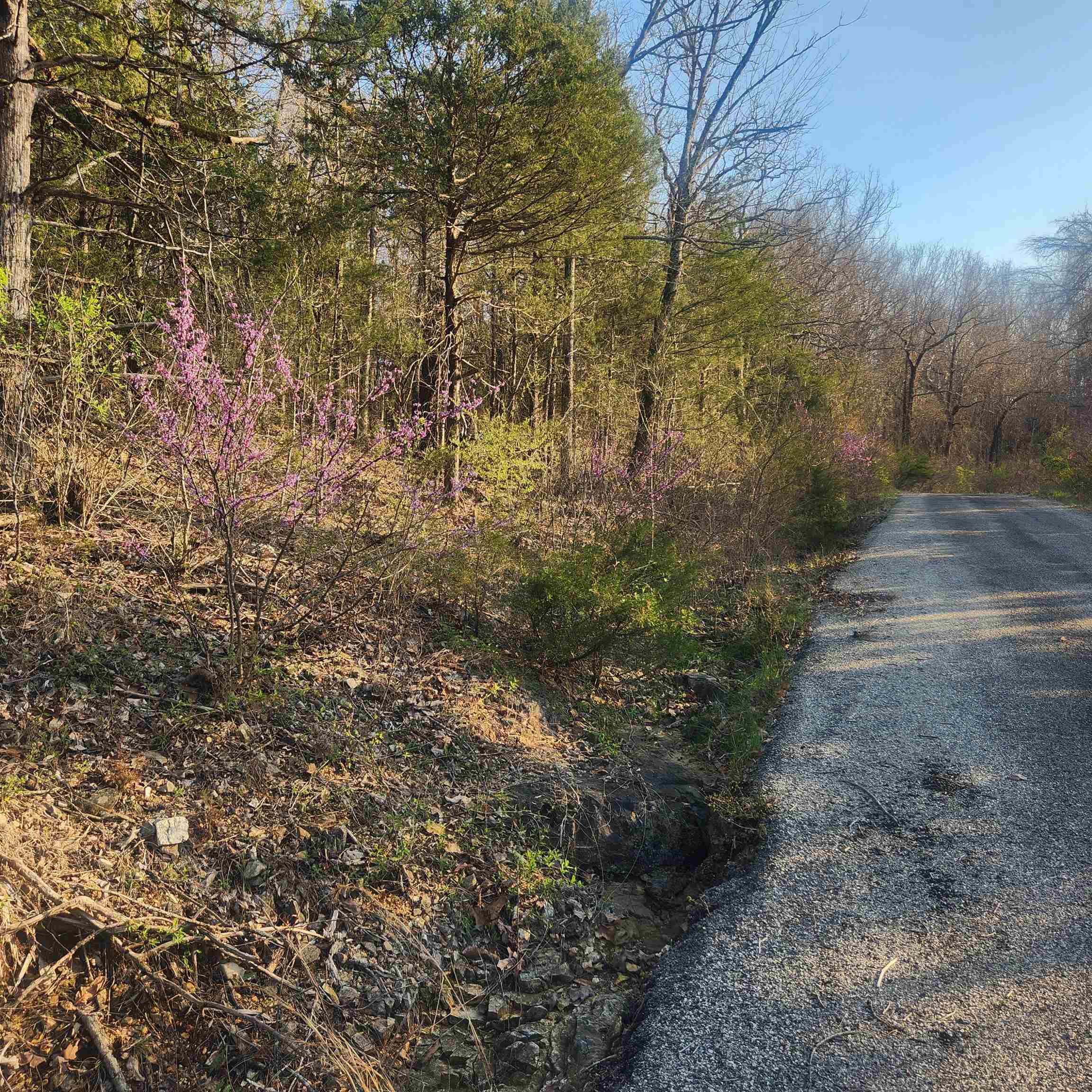 L-12, B-8 Choctaw  Cherokee Village, AR
