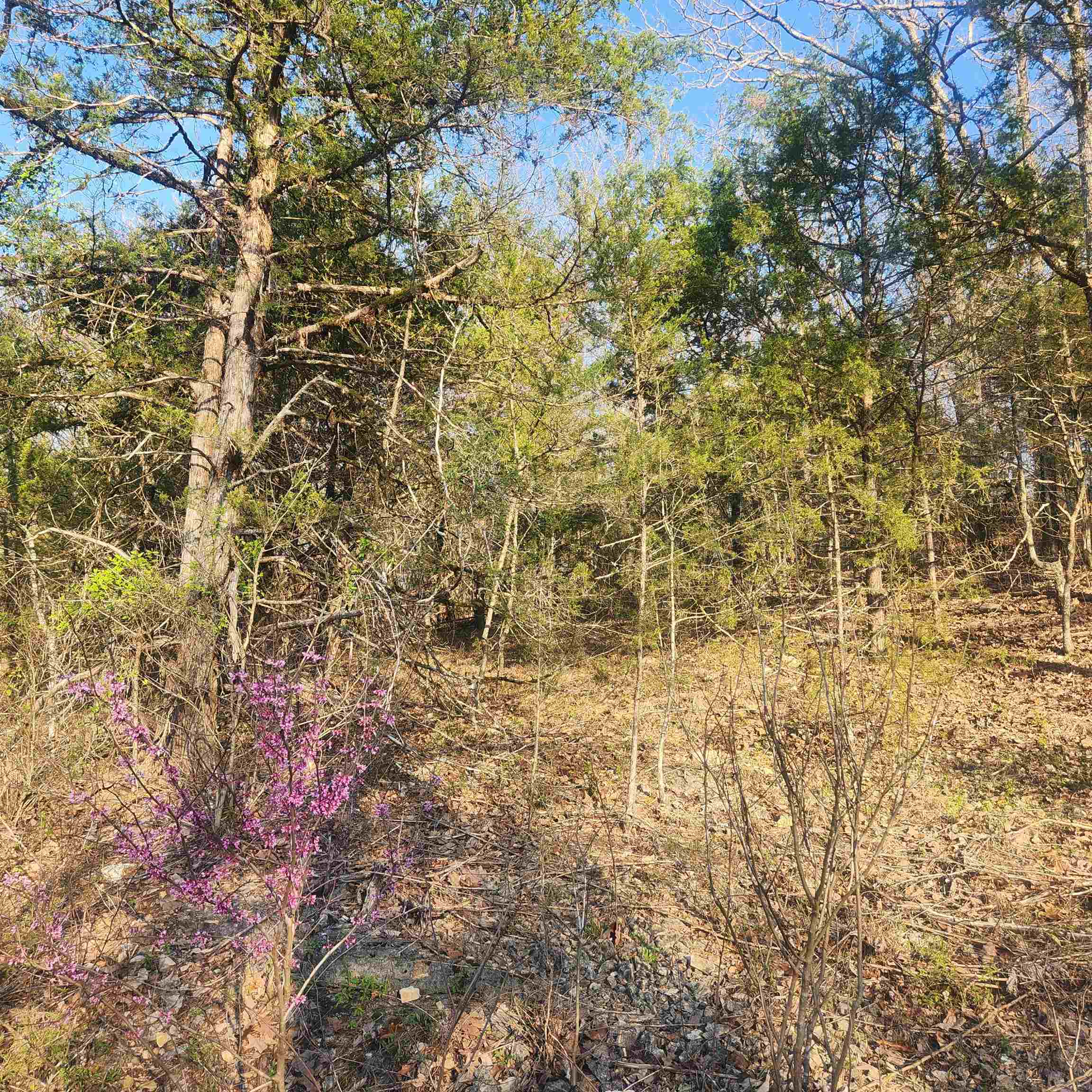 L-12, B-8 Choctaw  Cherokee Village, AR