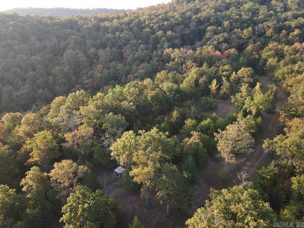  MC 8060  Yellville, AR