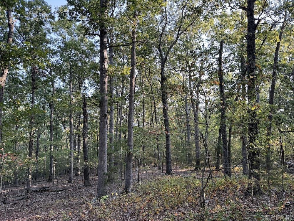  MC 8060  Yellville, AR