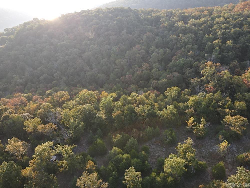  MC 8060  Yellville, AR