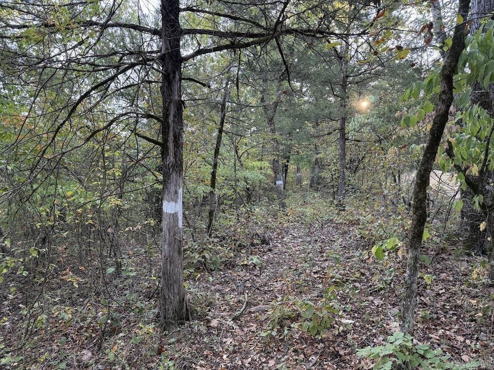  MC 8060  Yellville, AR