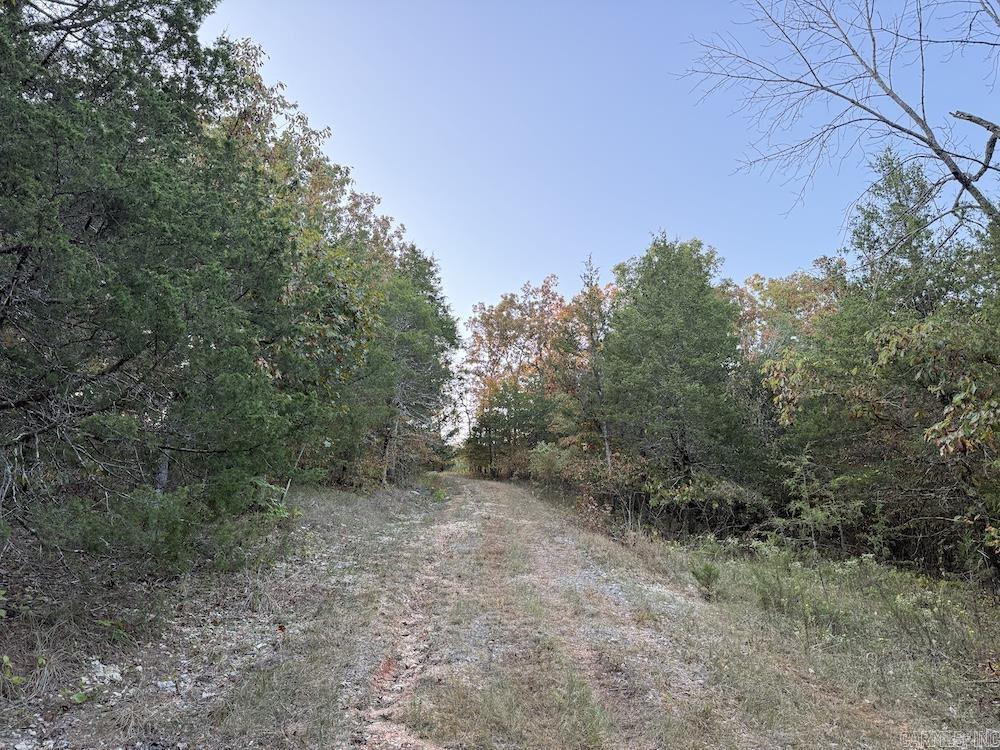  MC 8060  Yellville, AR