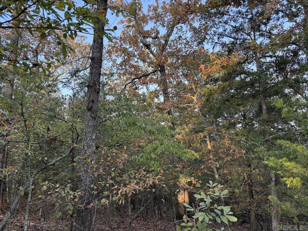  MC 8060  Yellville, AR