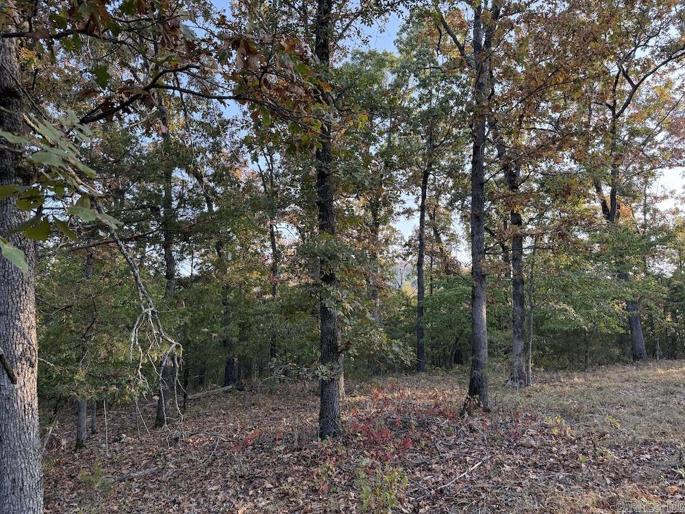  MC 8060  Yellville, AR