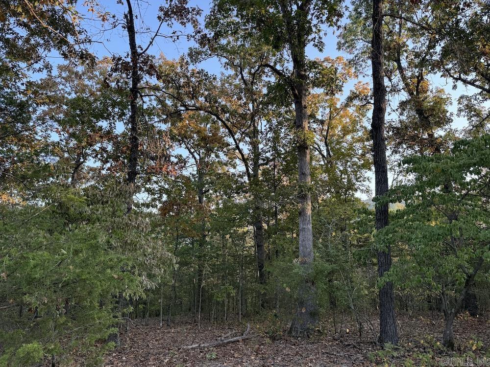  MC 8060  Yellville, AR