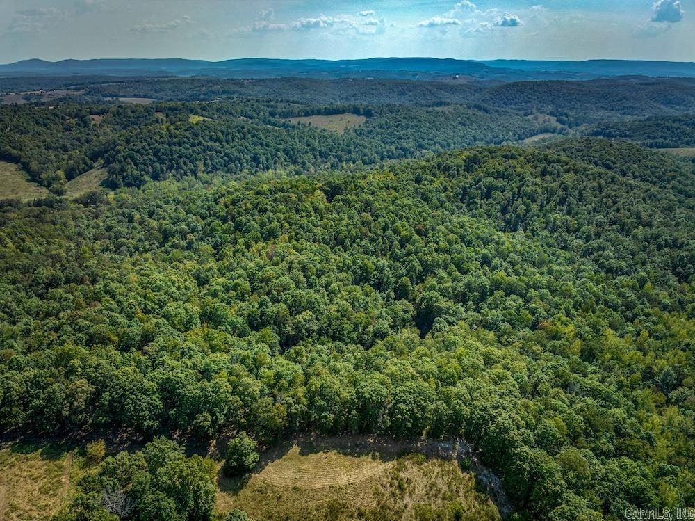  Fawn Drive  Harriet, AR