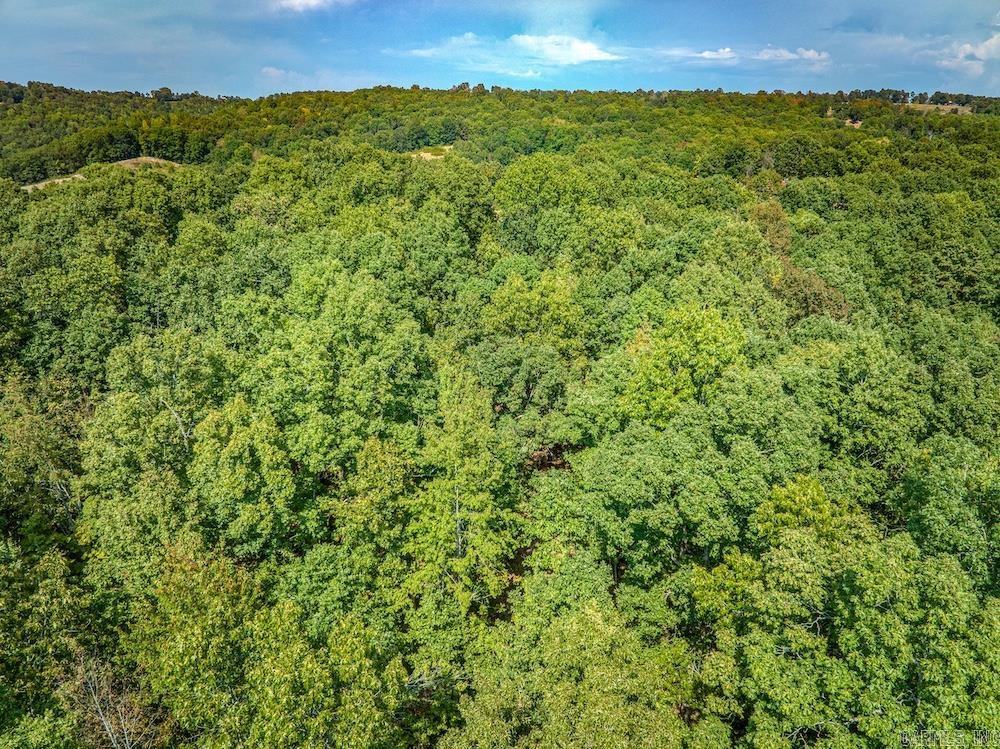  Fawn Drive  Harriet, AR