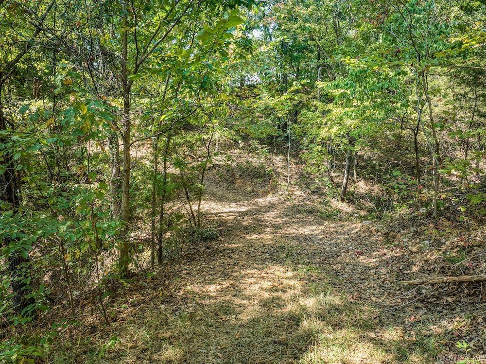  Fawn Drive  Harriet, AR