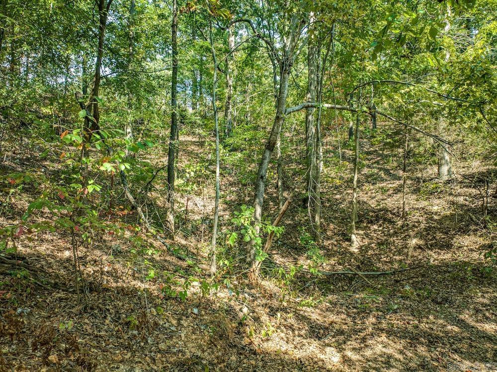  Fawn Drive  Harriet, AR