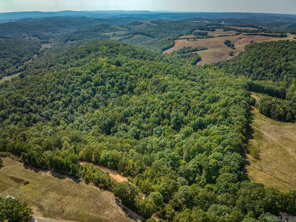  Fawn Drive  Harriet, AR