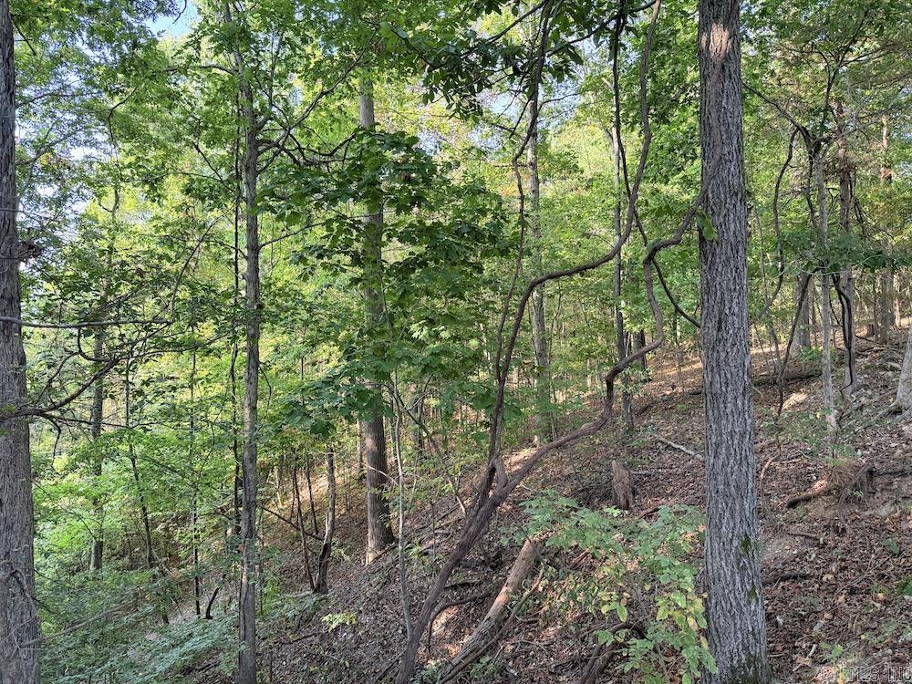  Fawn Drive  Harriet, AR