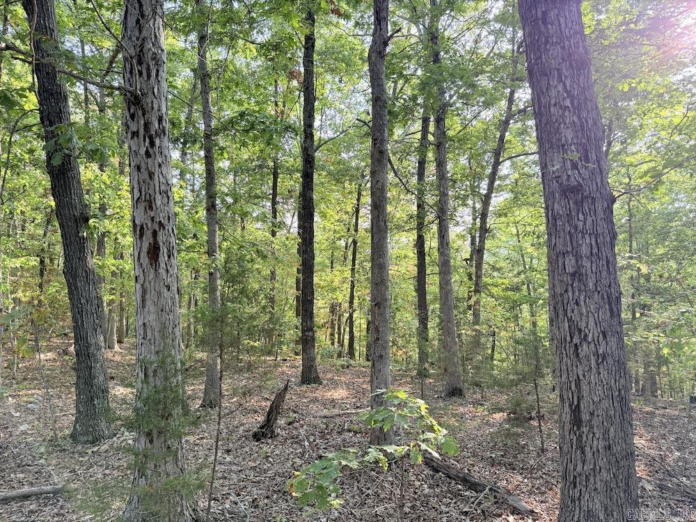  Fawn Drive  Harriet, AR