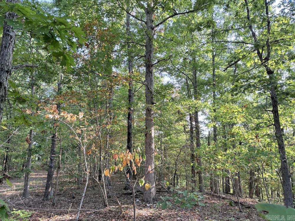  Fawn Drive  Harriet, AR