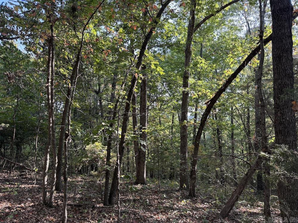  Fawn Drive  Harriet, AR
