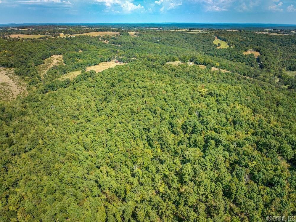  Fawn Drive  Harriet, AR