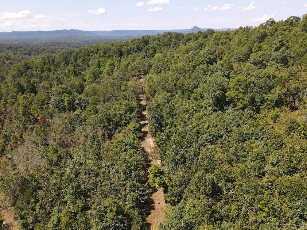  Haw Mountain Cemetery Road  Calico Rock, AR