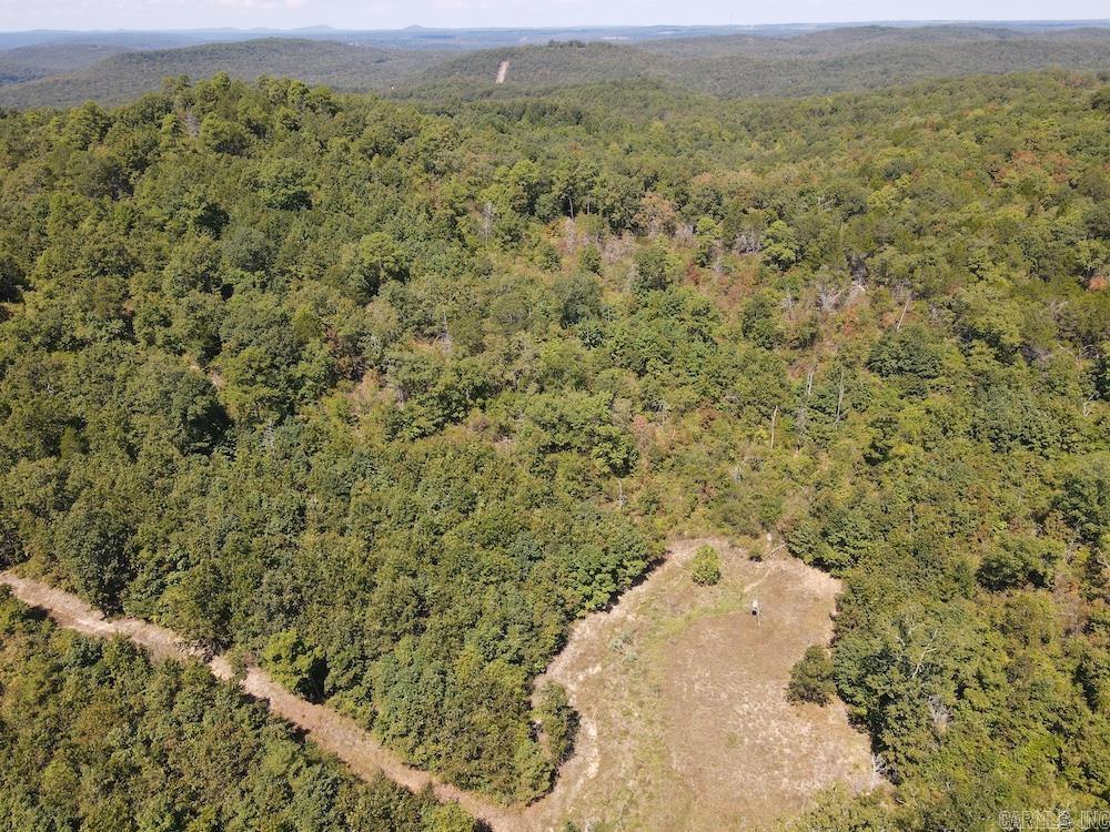  Haw Mountain Cemetery Road  Calico Rock, AR