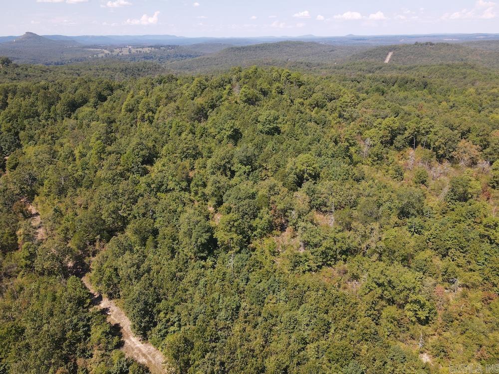  Haw Mountain Cemetery Road  Calico Rock, AR