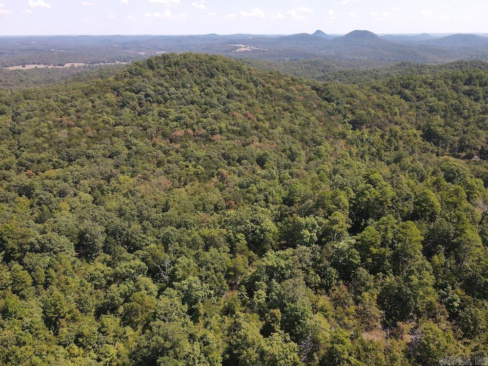  Haw Mountain Cemetery Road  Calico Rock, AR