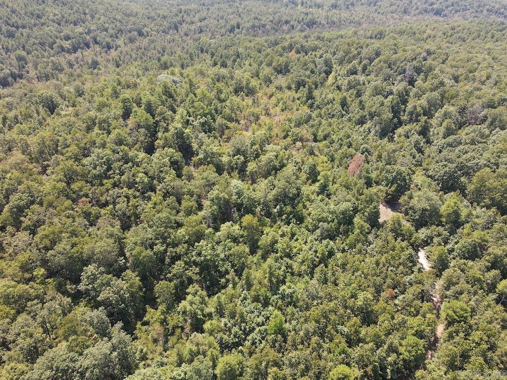  Haw Mountain Cemetery Road  Calico Rock, AR