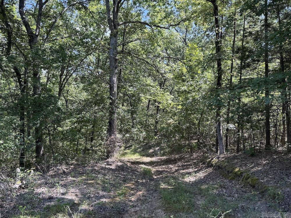  Haw Mountain Cemetery Road  Calico Rock, AR
