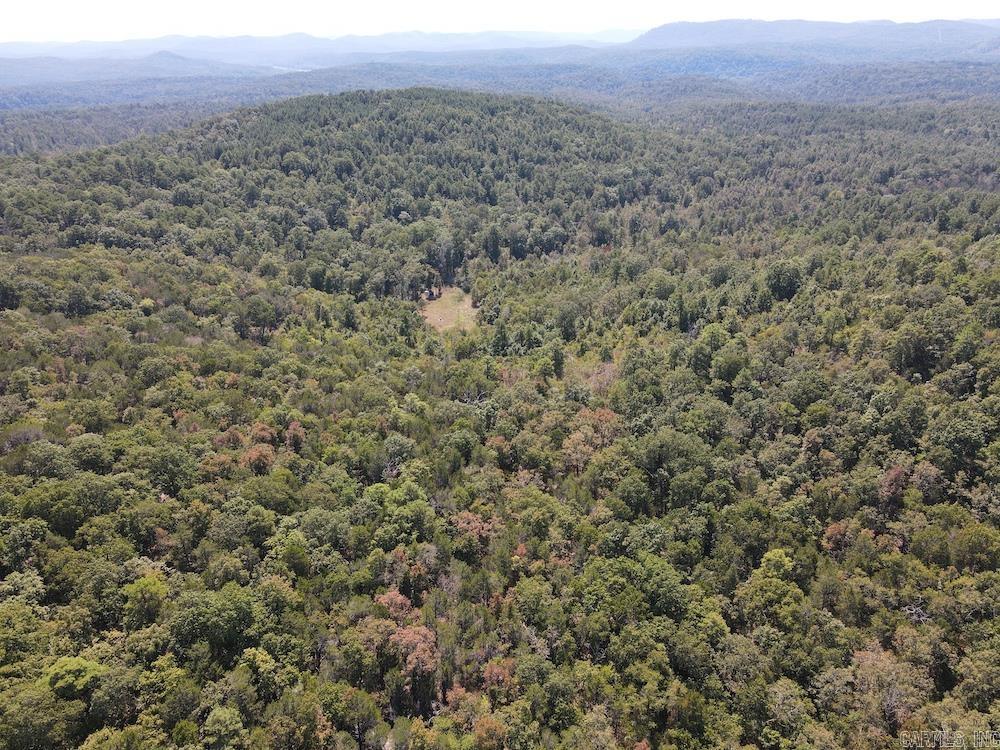  Haw Mountain Cemetery Road  Calico Rock, AR