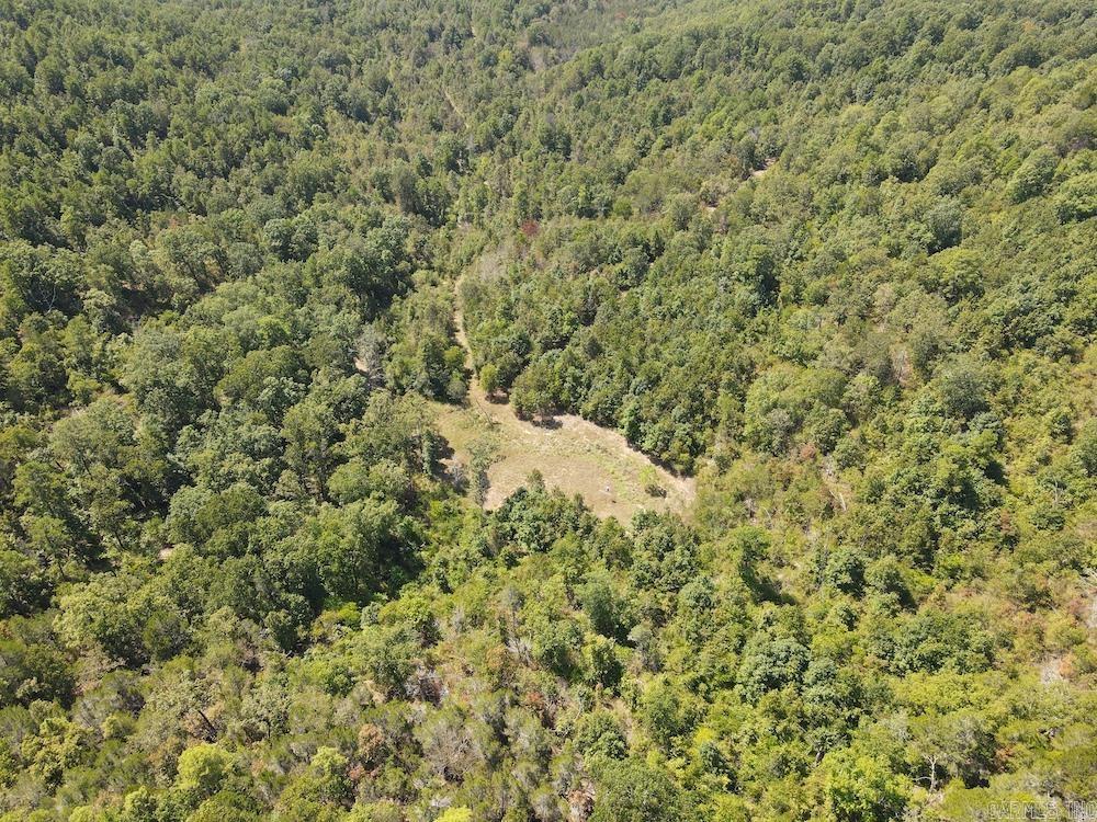  Haw Mountain Cemetery Road  Calico Rock, AR