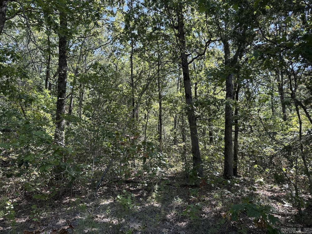  Haw Mountain Cemetery Road  Calico Rock, AR