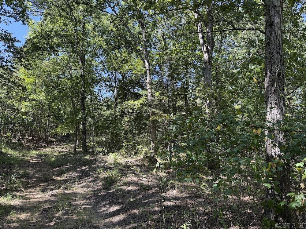 Haw Mountain Cemetery Road  Calico Rock, AR