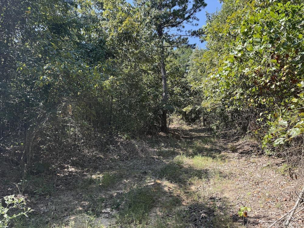  Haw Mountain Cemetery Road  Calico Rock, AR