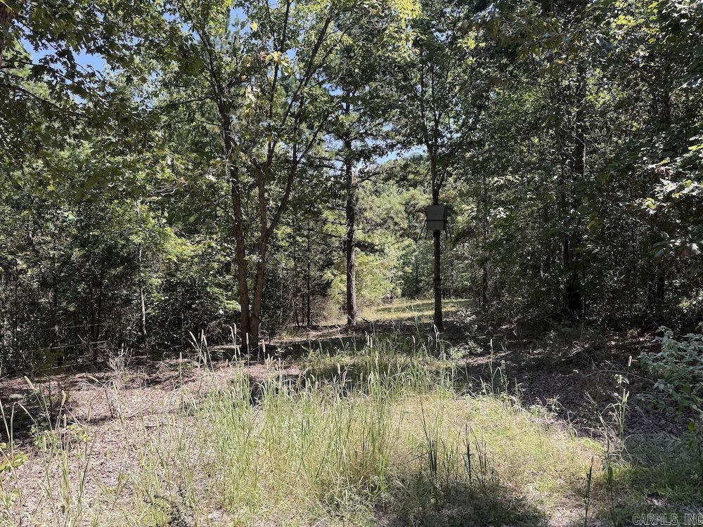  Haw Mountain Cemetery Road  Calico Rock, AR