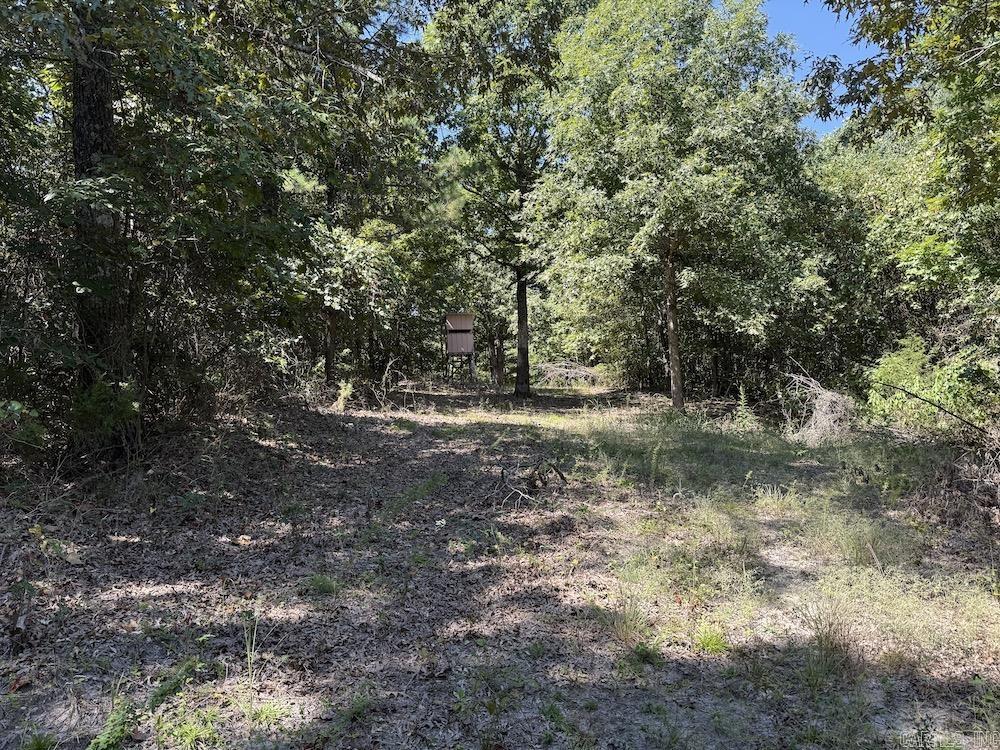 Haw Mountain Cemetery Road  Calico Rock, AR