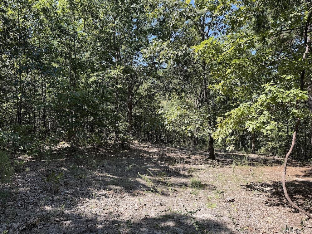  Haw Mountain Cemetery Road  Calico Rock, AR
