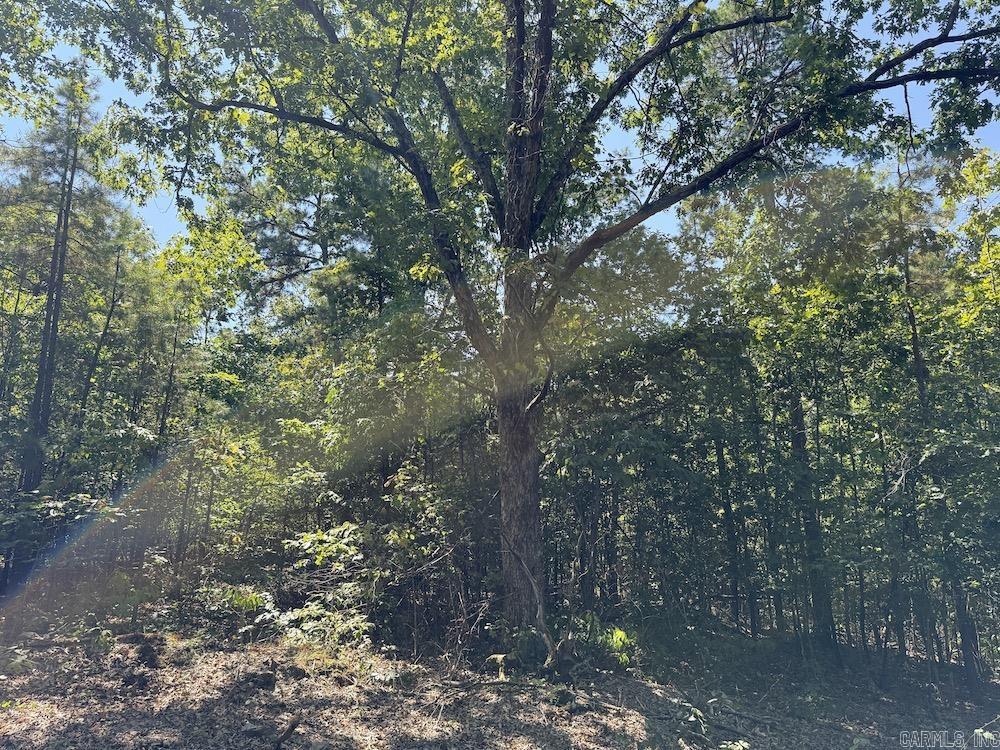  Haw Mountain Cemetery Road  Calico Rock, AR