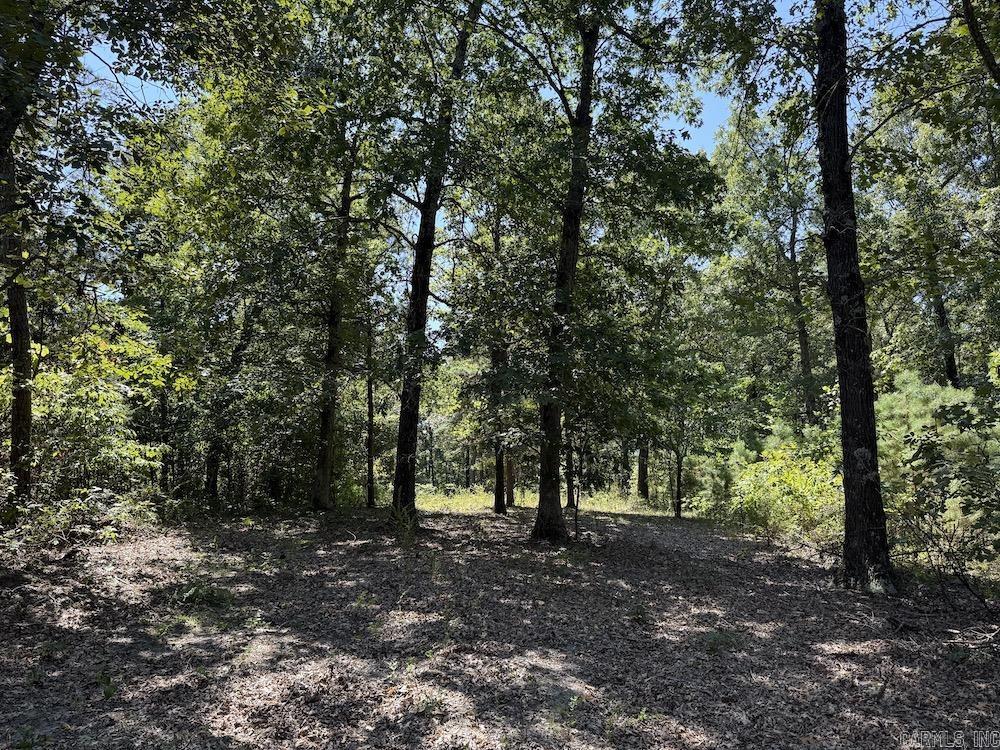  Haw Mountain Cemetery Road  Calico Rock, AR